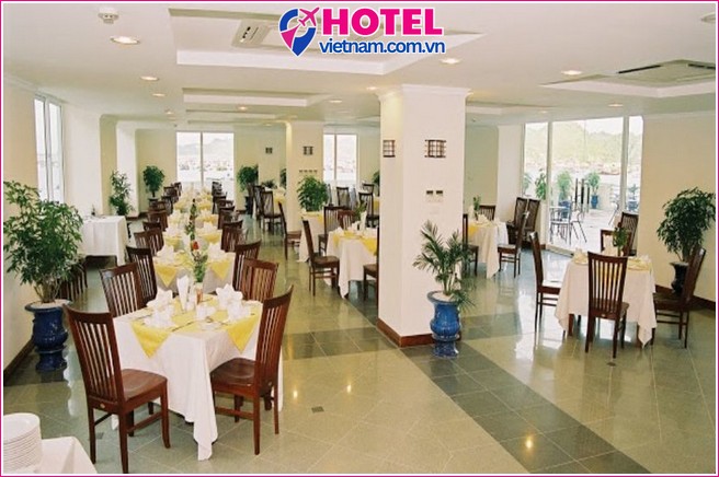 Draco QK3 Hotel Cát Bà