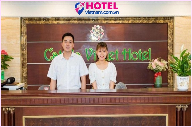 Cát Bà Violet Hotel