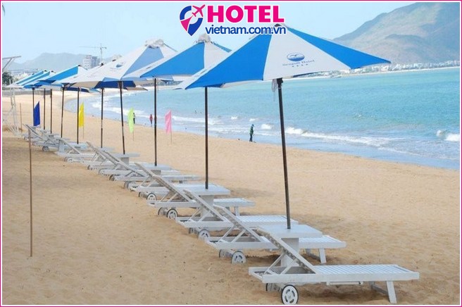 Seagull Hotel Quy Nhơn