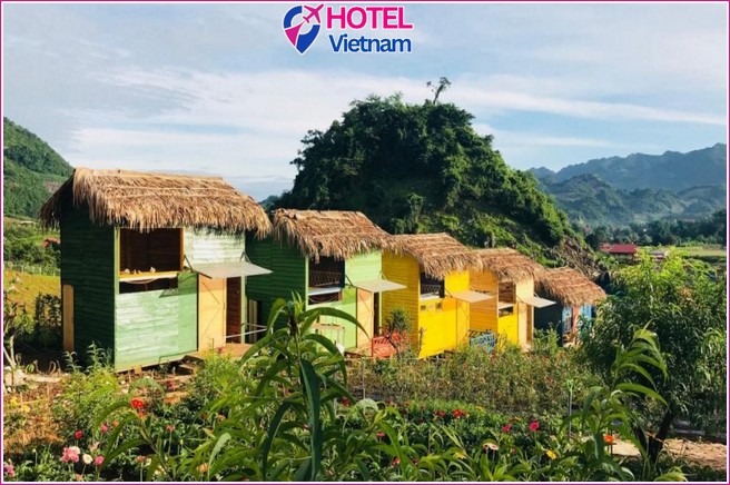 Stella Mộc Châu Homestay